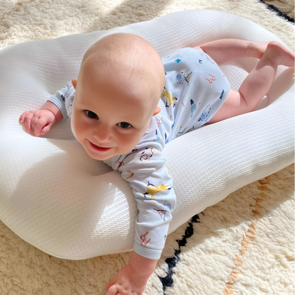 Tiny Snugg Pastel Baby Lounger Nest - full product view white background